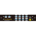 GLOBALfiber 8 ch. O-Band DWDM Mux+Demux O-Band 1295.56nm-1311.43nm 200GHz LC LGX