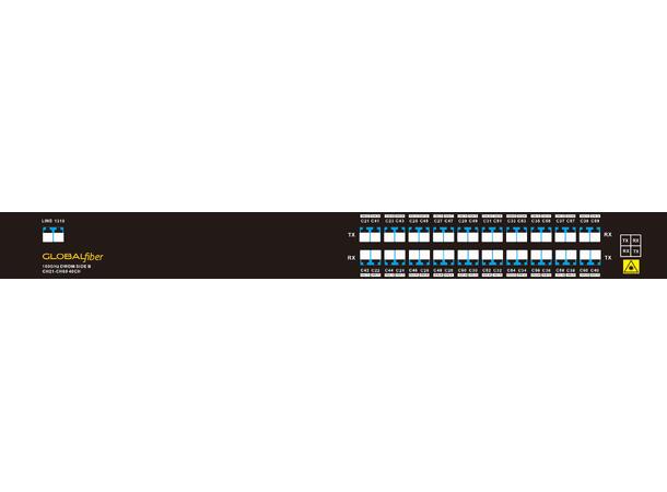 GLOBALfiber 20ch. DWDM Mux/Demux 19"1RU C21-C60 1310nm 100GHz Single Fiber B 