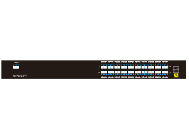 GLOBALfiber 20ch. DWDM Mux/Demux 19"1RU C21-C60-31 100GHz Single Fiber B-Side 