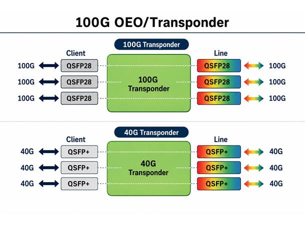 Transponder 40G/100G Multi-Rate 3R Converter/Repeater 6 x QSFP28 