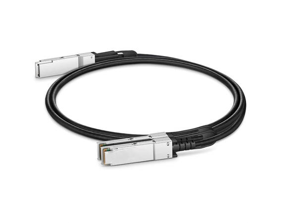 QSFP-DD 200G to 2x100G QSFP28 Passive Breakout DAC Cable 
