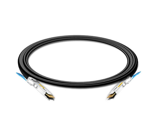 QSFP-DD 200G Passive Direct Attach Copper Twinax DAC Cable 