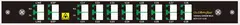 GF DWDM Mux/Demux 8CH C55 (CH21-CH28) With EXP Dual fiber 100GHz LC/APC LGX4