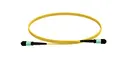 GF MPO-APC patch 12 x 9/125  OS2 SM MPO Elite 3mm Female-Female Pol B
