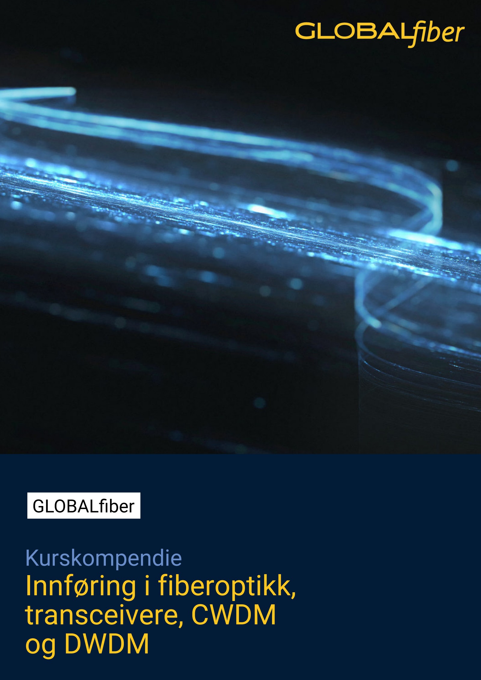 Forsiden: Innføring i fiberoptikk, transceivere, CWDM og DWDM